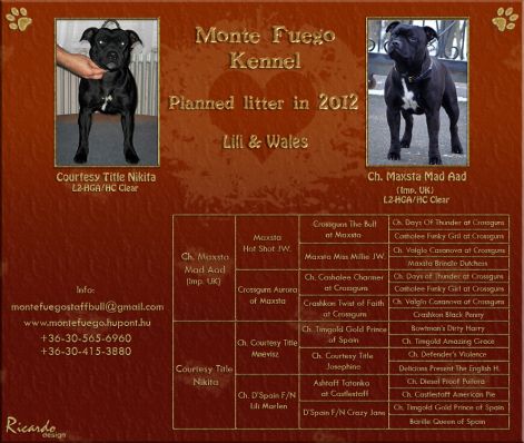 monte-fuego_kennel_planned_litter_2012_-_wales-lili_masolata.jpg